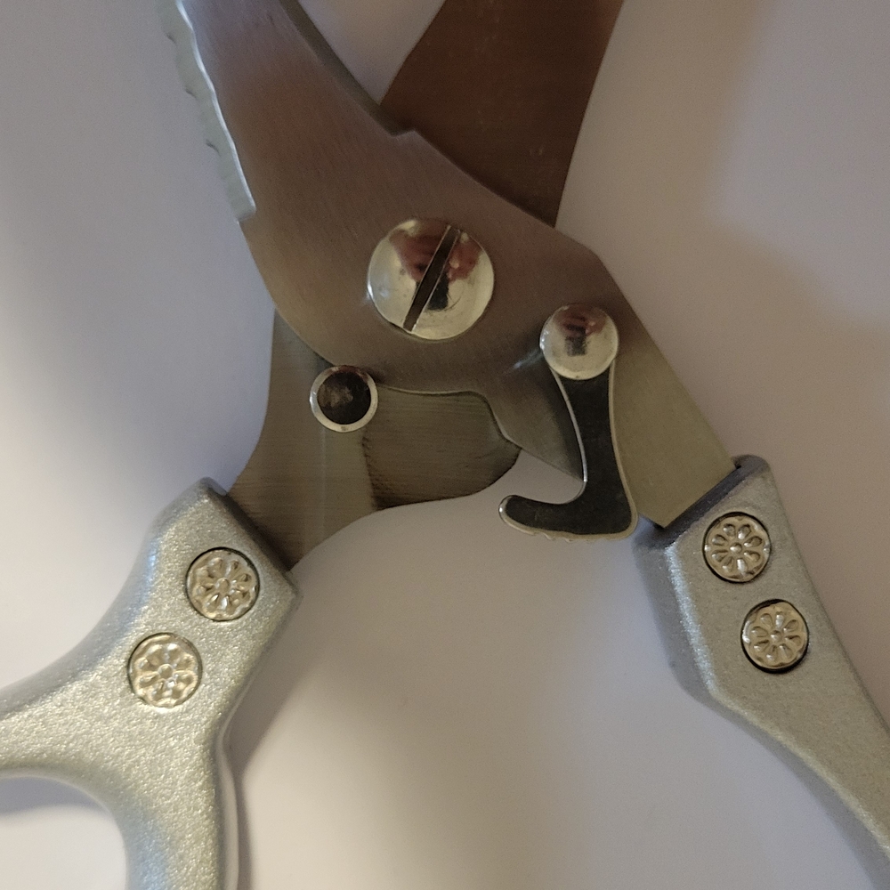 Scissors - Picture 5 of 9